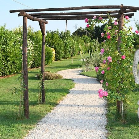 I Delfini - Natural B&B Cesenatico Eksteriør billede